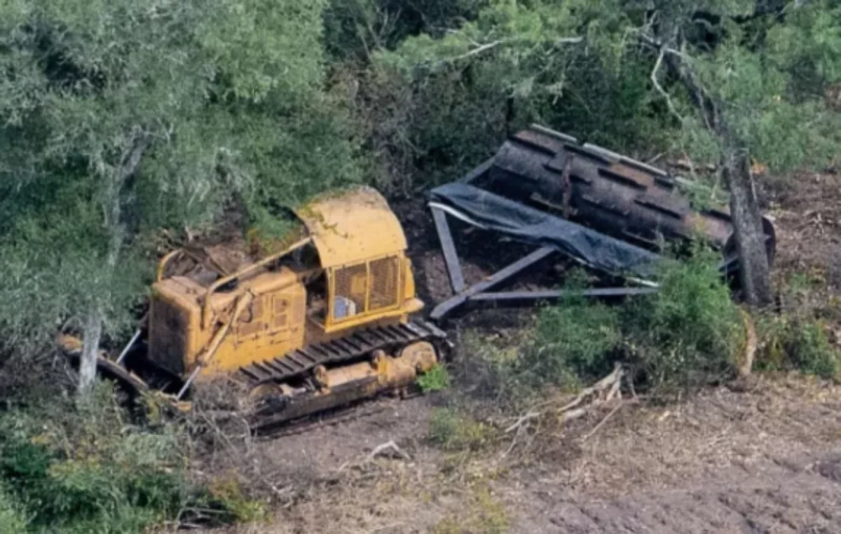 Chaco legisla a favor de la deforestación de un millón de hectáreas