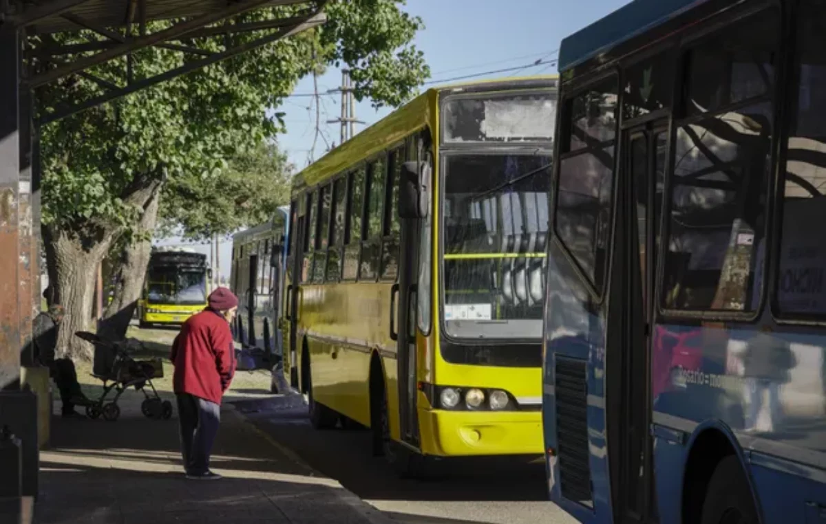 Rosario: Tarifa de colectivo versus salario mínimo; hoy se pueden comprar 443 viajes menos por mes que en 2023