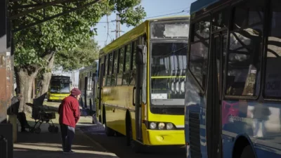 Rosario: Tarifa de colectivo versus salario mínimo; hoy se pueden comprar 443 viajes menos por mes que en 2023