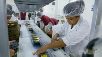 La recesión golpea con más fuerza a las pymes: siete de cada diez informan caída del consumo