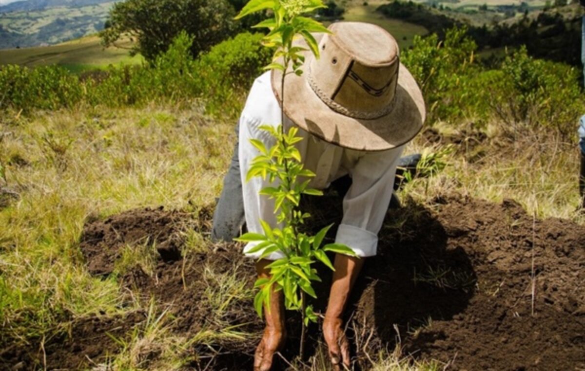 La ONU llama a la acción para evitar la desertificación del suelo y restaurar la tierra en el Día Mundial del Ambiente 2024