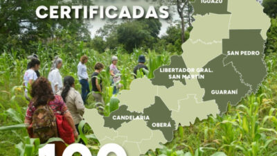 Agricultura sostenible: Misiones cuenta con más de 650 hectáreas destinadas a chacras agroecológicas