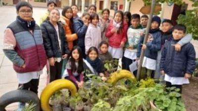 Jujuy: Forestación masiva que involucra a la comunidad