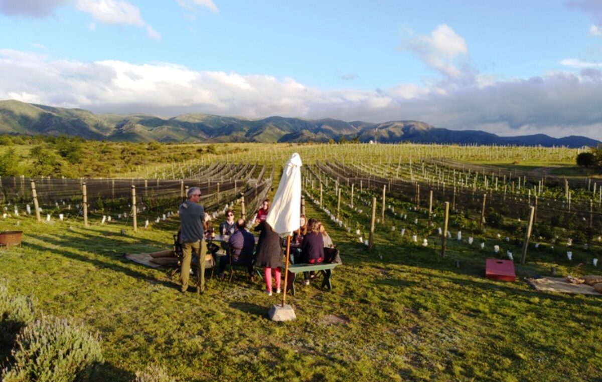 Ruta del vino cordóbes: una escapada para seguir descubriendo sabores en invierno