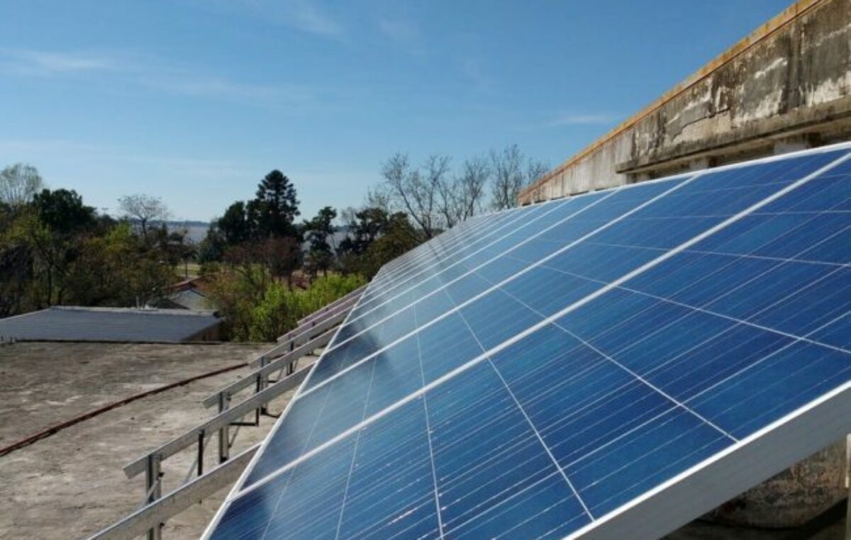 Una facultad de Santa Fe cubrió con sus paneles solares el trabajo de 267 árboles durante 10 años