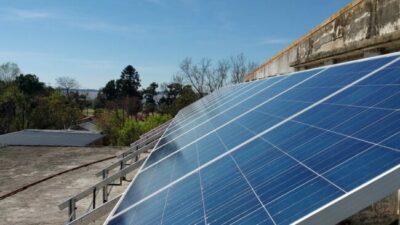 Una facultad de Santa Fe cubrió con sus paneles solares el trabajo de 267 árboles durante 10 años