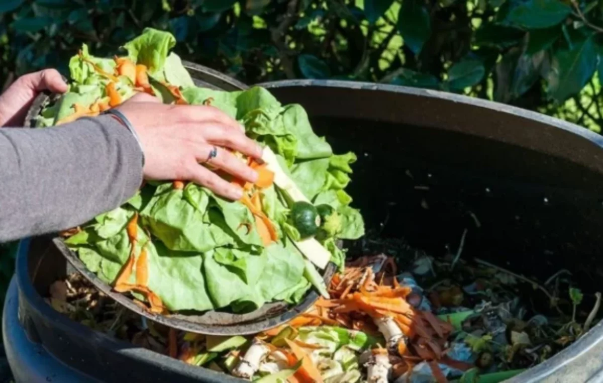 En Argentina se pierden y desperdician más de 16 millones de toneladas de comida por año