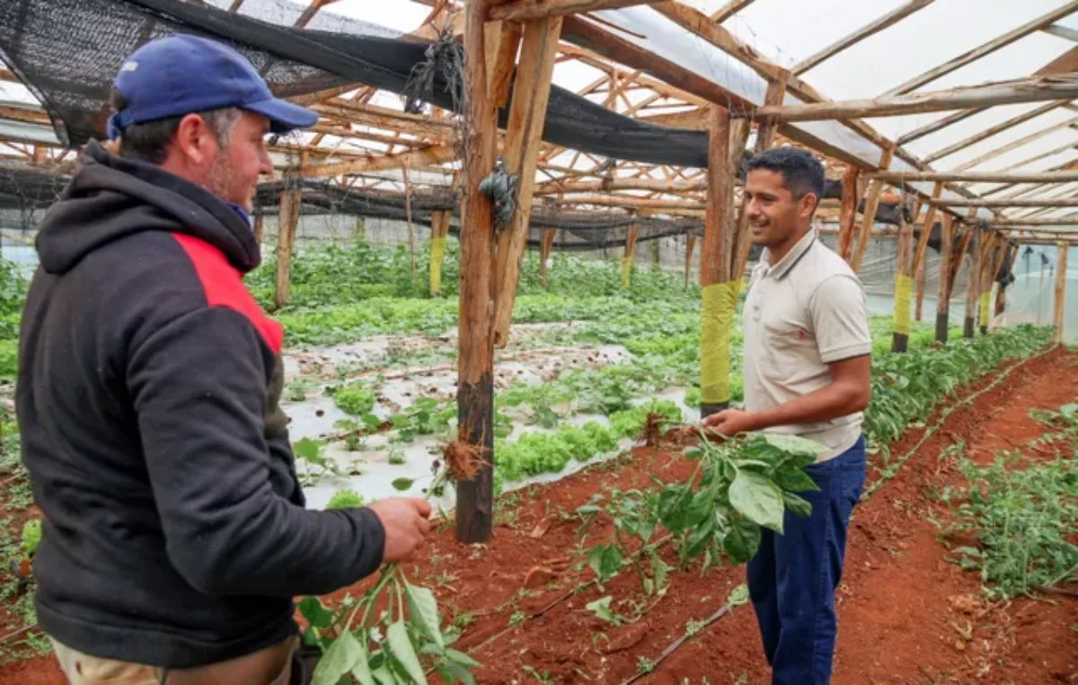 Agroalimentos: cómo renovar la locomotora de la economía