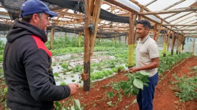 Agroalimentos: cómo renovar la locomotora de la economía