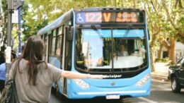 Inequidad y quita de subsidios: cómo impactan las políticas de Nación en el transporte urbano rosarino
