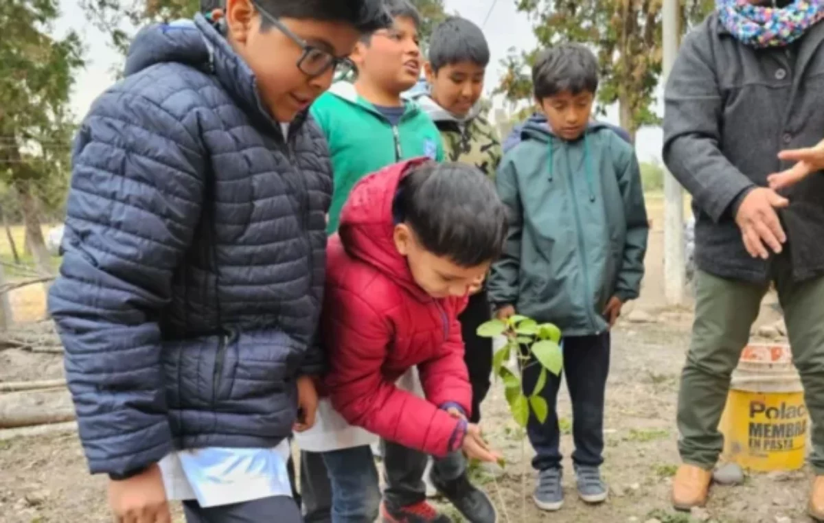 Suman comuna al programa «Un árbol para cada jujeño»