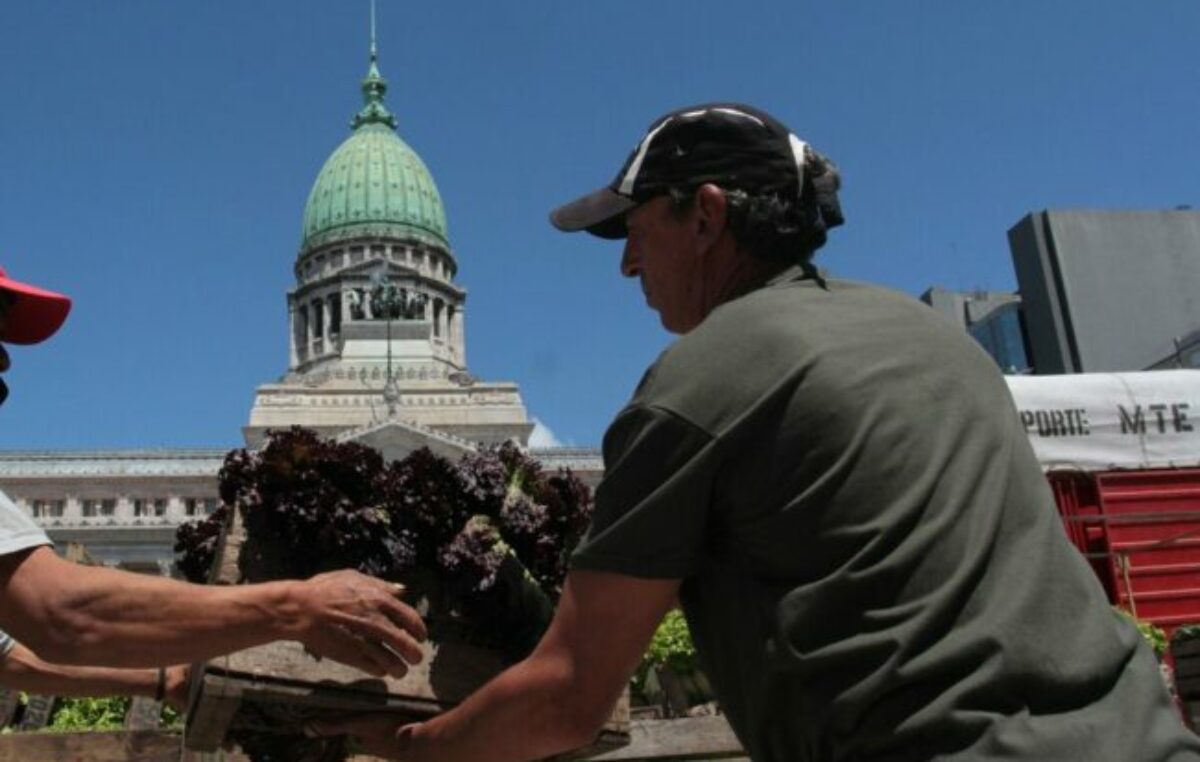 «No hay ninguna perspectiva de generar empleo ni registrar al trabajo de la economía informal» 