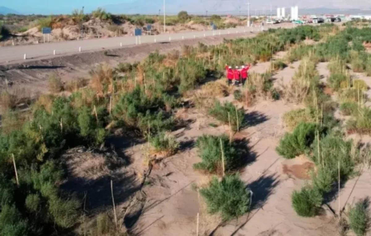 Catamarca busca reverdecer sus desiertos con riego artificial