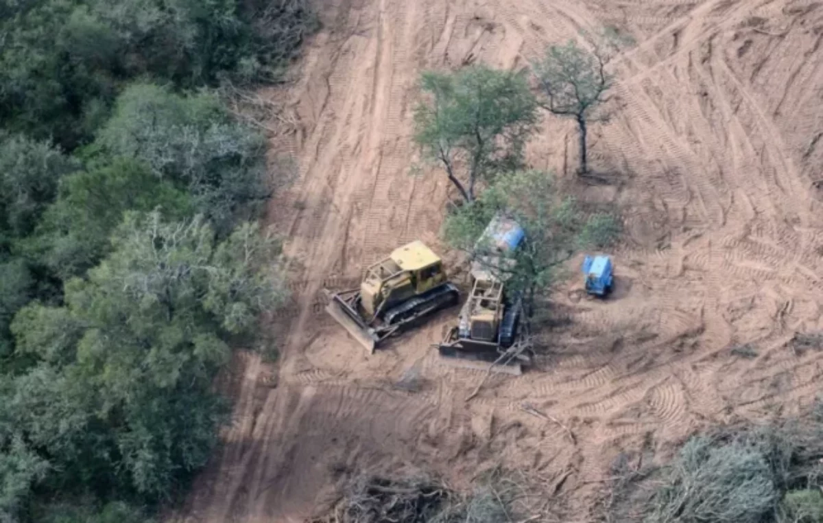 Preocupación por el aumento de los desmontes en el norte del país