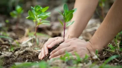 Acción climática: doce proyectos de jóvenes rosarinos serán financiados por la Municipalidad y Bloomberg