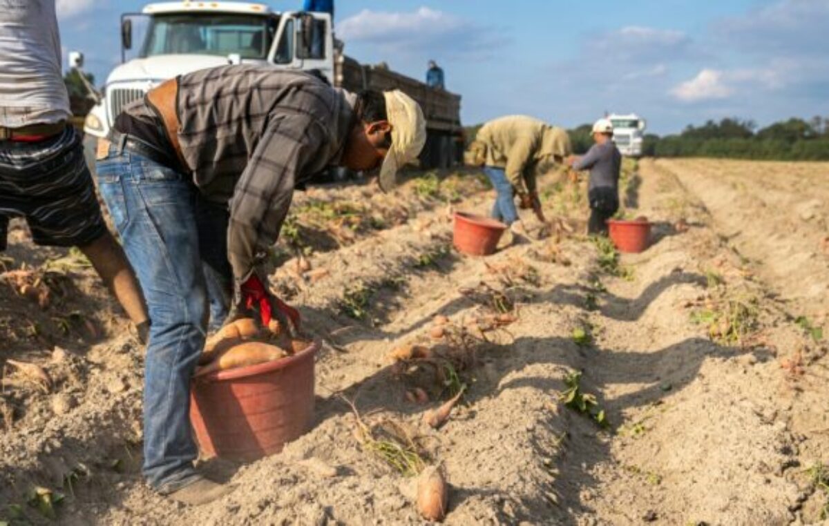 Cuánto perdieron los salarios en los primeros seis meses del Gobierno de Milei