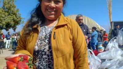 Rosario de Lerma: Pequeños productores de frutilla, ejemplo de esfuerzo