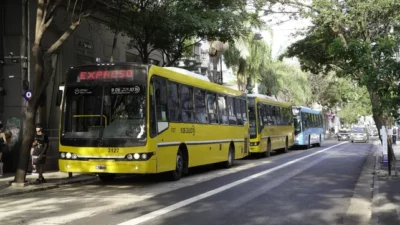 El amparo contra la quita de los subsidios nacionales al transporte se tramitará en Rosario