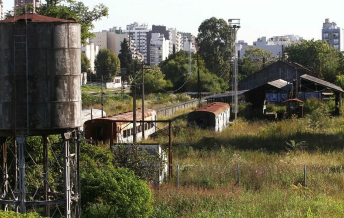 Tierras públicas en remate: el nuevo plan de Javier Milei para dejar tierra arrasada en el Estado