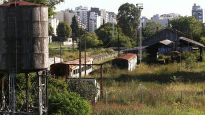 Tierras públicas en remate: el nuevo plan de Javier Milei para dejar tierra arrasada en el Estado