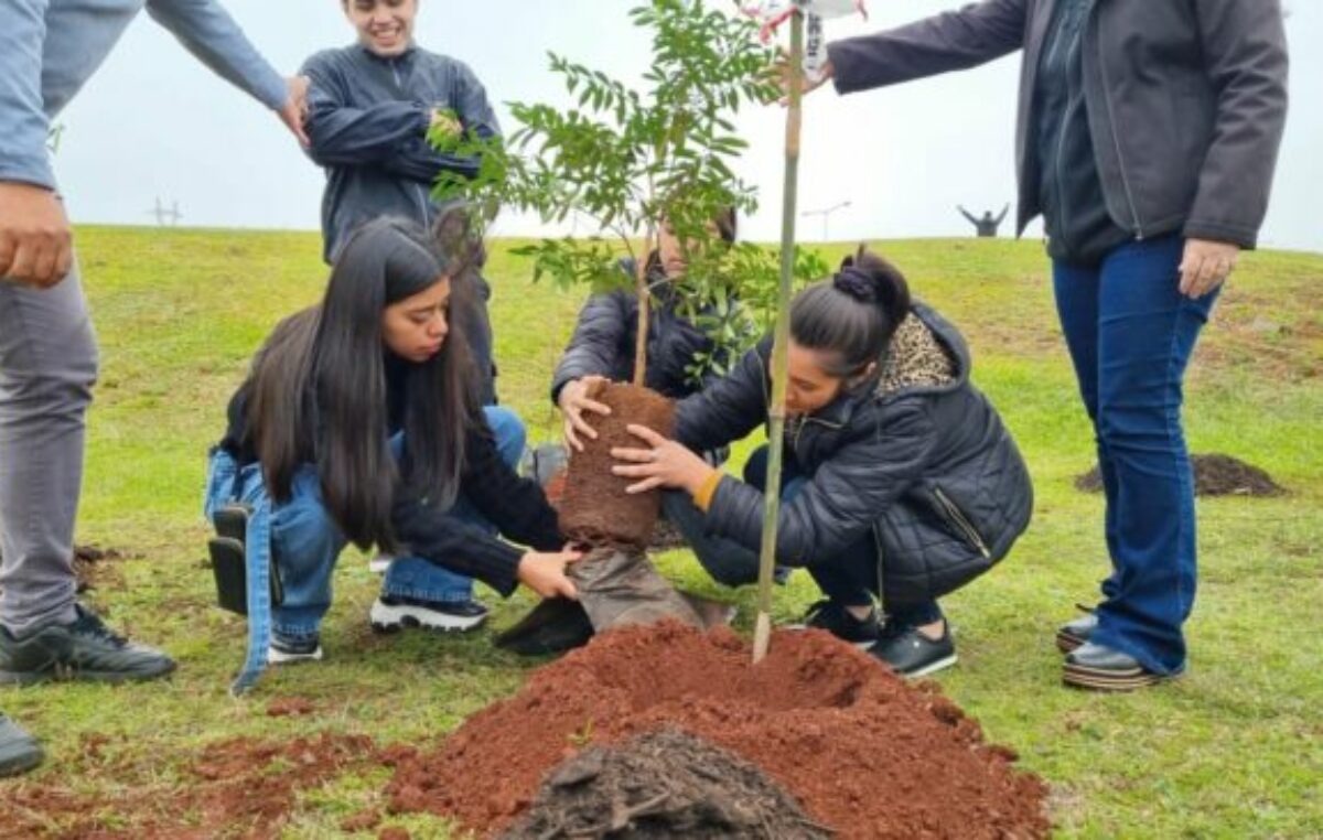 Inició en Posadas el programa Bosques Urbanos: plantarán 2.000 especies autóctonas en la Costanera