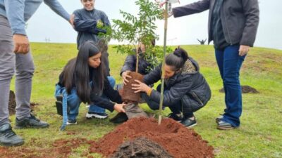 Inició en Posadas el programa Bosques Urbanos: plantarán 2.000 especies autóctonas en la Costanera