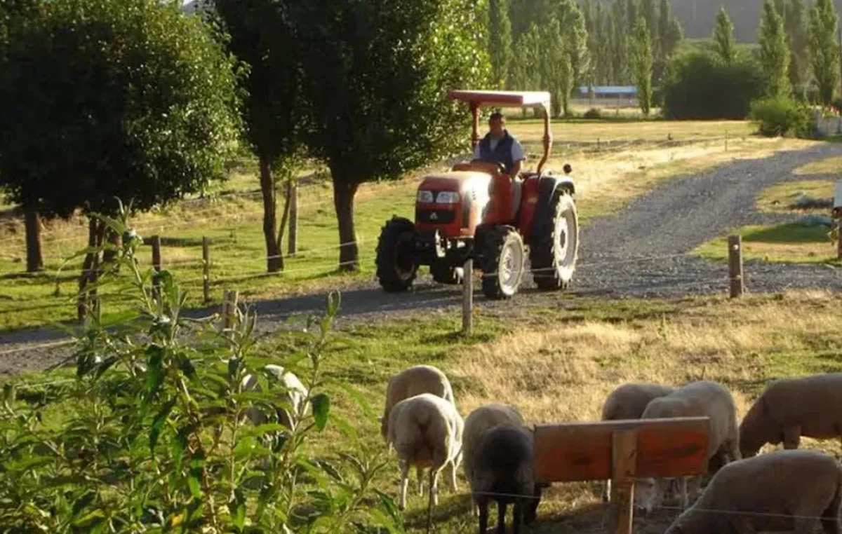 El agroturismo como potenciador; casos de éxito en el Alto Valle