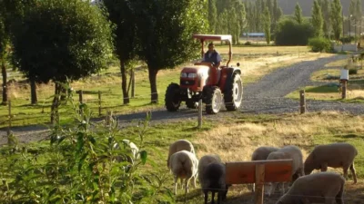 El agroturismo como potenciador; casos de éxito en el Alto Valle