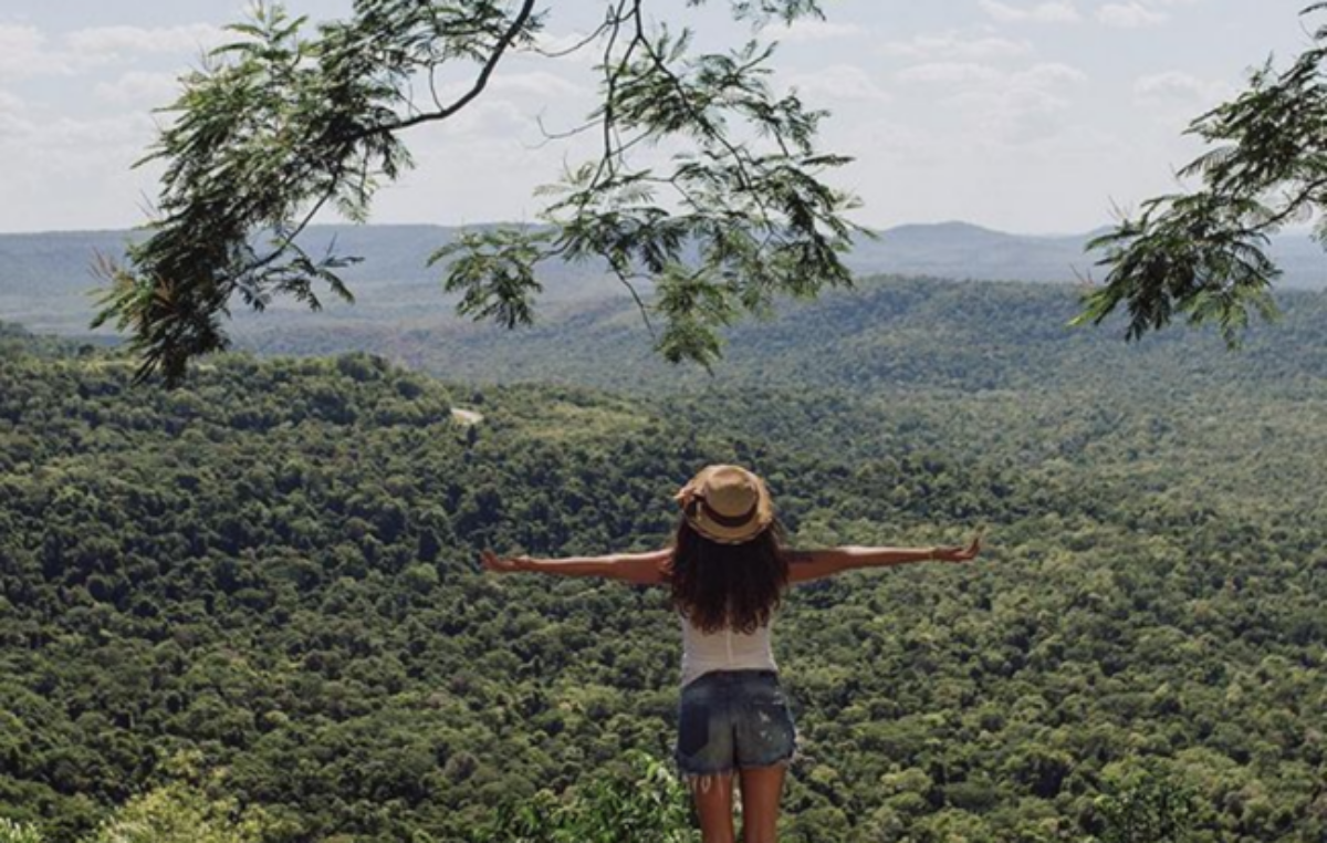 El Gobierno de Misiones trabaja en la creación de un banco verde para financiar proyectos que promuevan la sostenibilidad ambiental