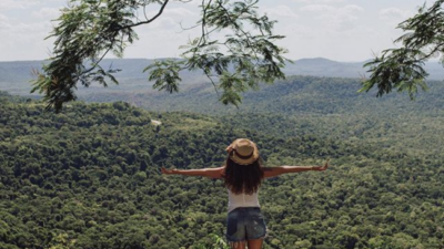 El Gobierno de Misiones trabaja en la creación de un banco verde para financiar proyectos que promuevan la sostenibilidad ambiental