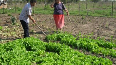 Productores de la agricultura familiar en crisis