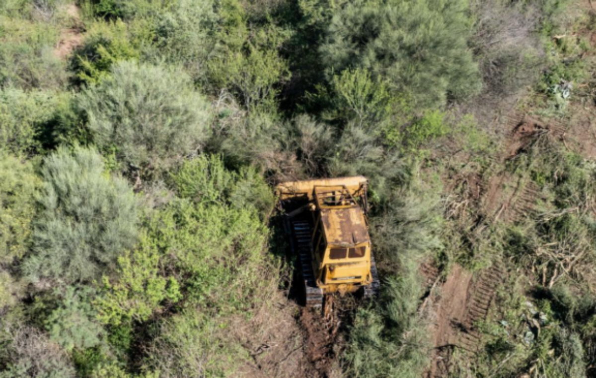 Ordenan suspender por tres meses los desmontes en Chaco por una medida cautelar