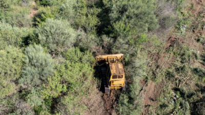 Ordenan suspender por tres meses los desmontes en Chaco por una medida cautelar