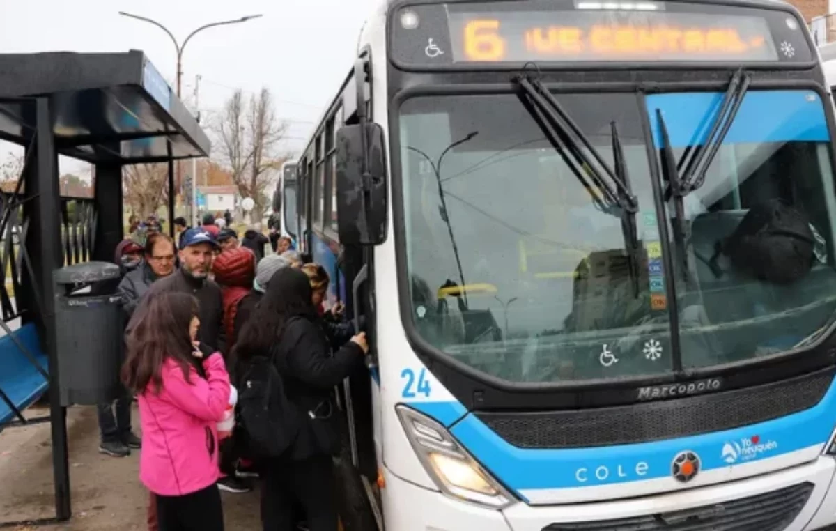 Sin subsidio de Nación, el COLE neuquino está entre los mejores rankeados