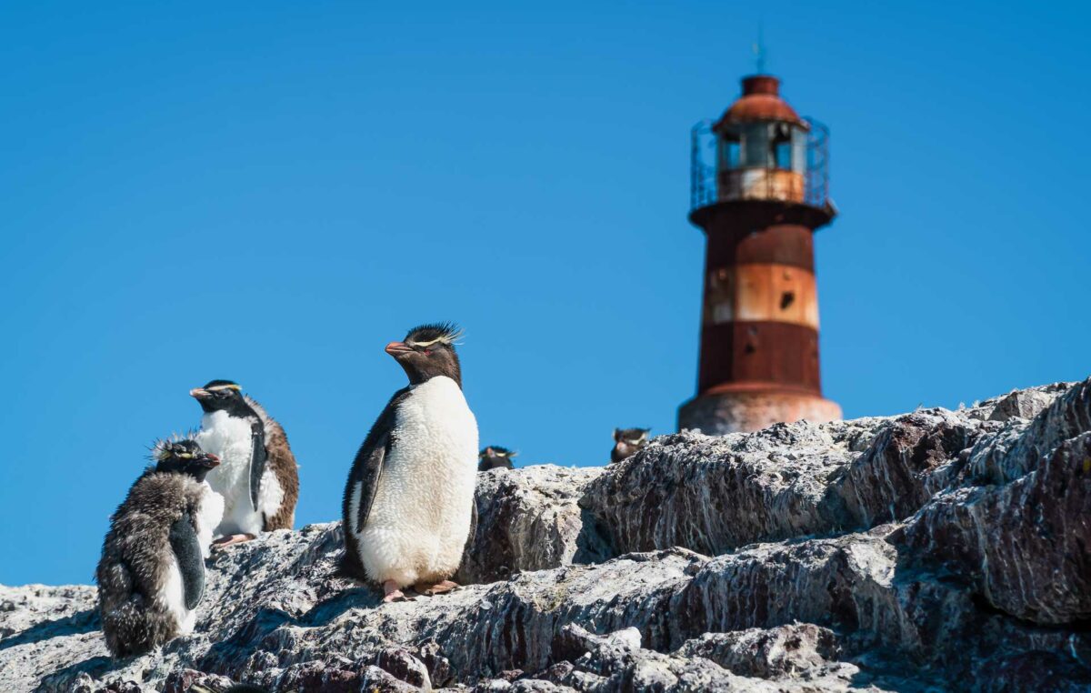 Santa Cruz estrena un corredor turístico con Puerto Deseado como destino estrella