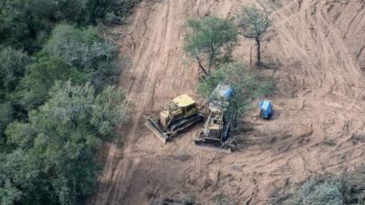 Un informe reveló que se desforestó un área equivalente a tres veces CABA en el norte argentino