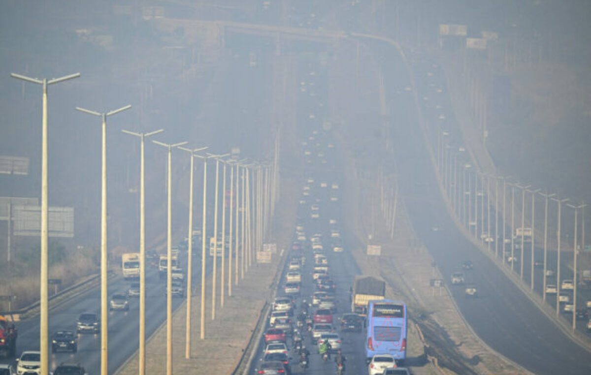 Brasil: el medioambiente, destruido poco a poco