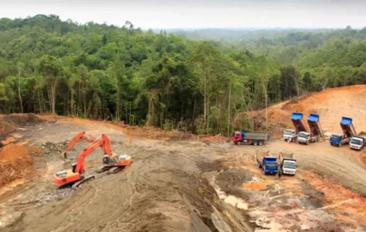 Deforestación en Amazonía arrasó área similar a Colombia en 40 años