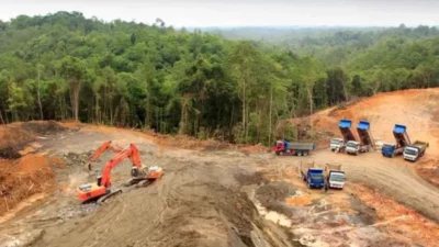 Deforestación en Amazonía arrasó área similar a Colombia en 40 años