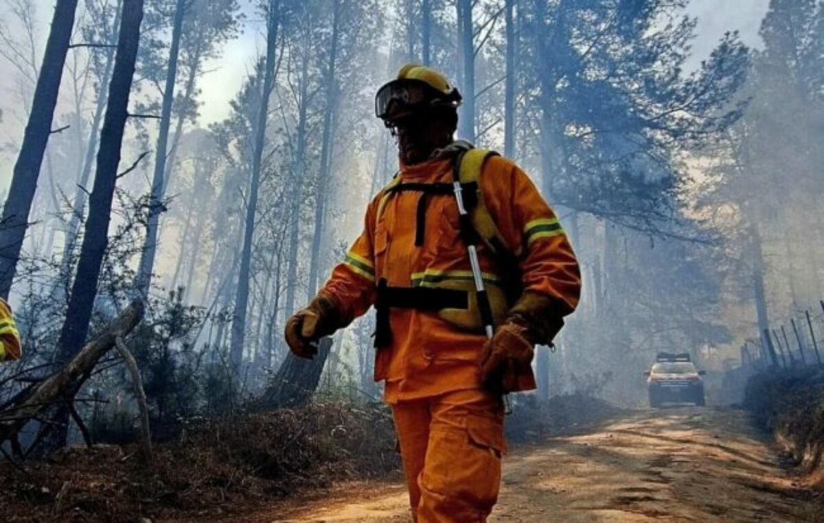 Contienen el incendio en El Durazno: el fuego arrasó con más de 12.000 hectáreas