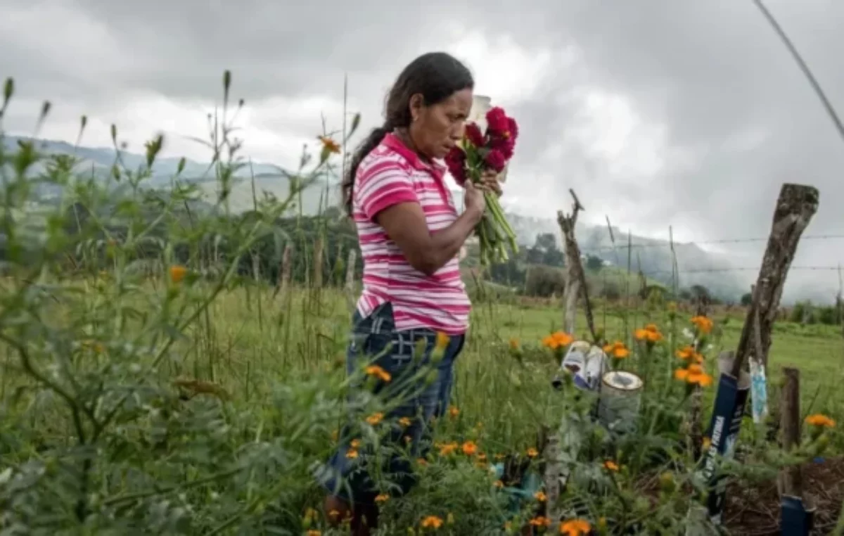 Violencia: al menos 196 defensores ambientales fueron asesinados en 2023