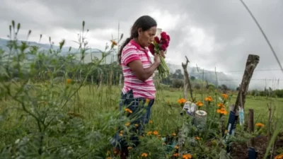 Violencia: al menos 196 defensores ambientales fueron asesinados en 2023