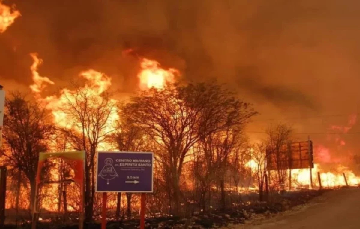 Incendios: Llaryora pidió endurecer las penas y aclaró que la Ley de Bosques impide cambiar el uso del suelo