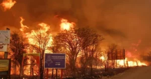 Incendios: Llaryora pidió endurecer las penas y aclaró que la Ley de Bosques impide cambiar el uso del suelo