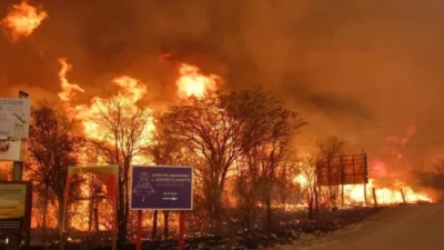 Incendios: Llaryora pidió endurecer las penas y aclaró que la Ley de Bosques impide cambiar el uso del suelo