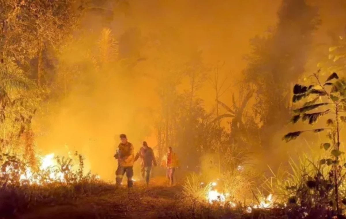 Bolivia declaró la emergencia nacional por incendios forestales