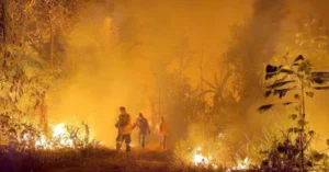 Bolivia declaró la emergencia nacional por incendios forestales