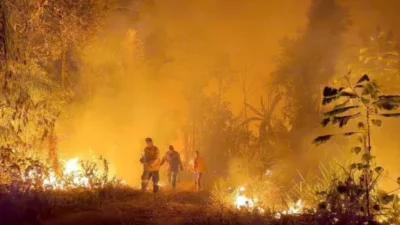 Bolivia declaró la emergencia nacional por incendios forestales