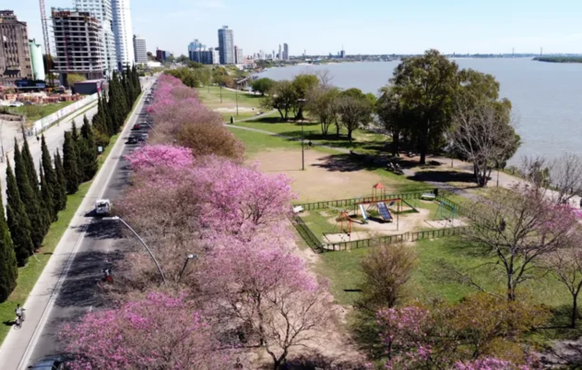 Arrancó el censo de árboles en los espacios verdes de Rosario