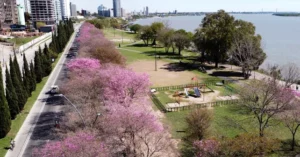 Arrancó el censo de árboles en los espacios verdes de Rosario